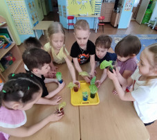 Экспериментирование гр. № 12 Экспериментирование гр. № 12.